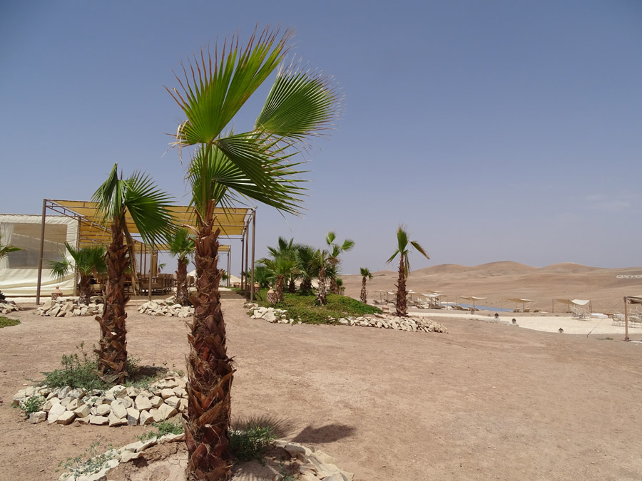 Les meilleures excursions à faire au départ de Marrakech 